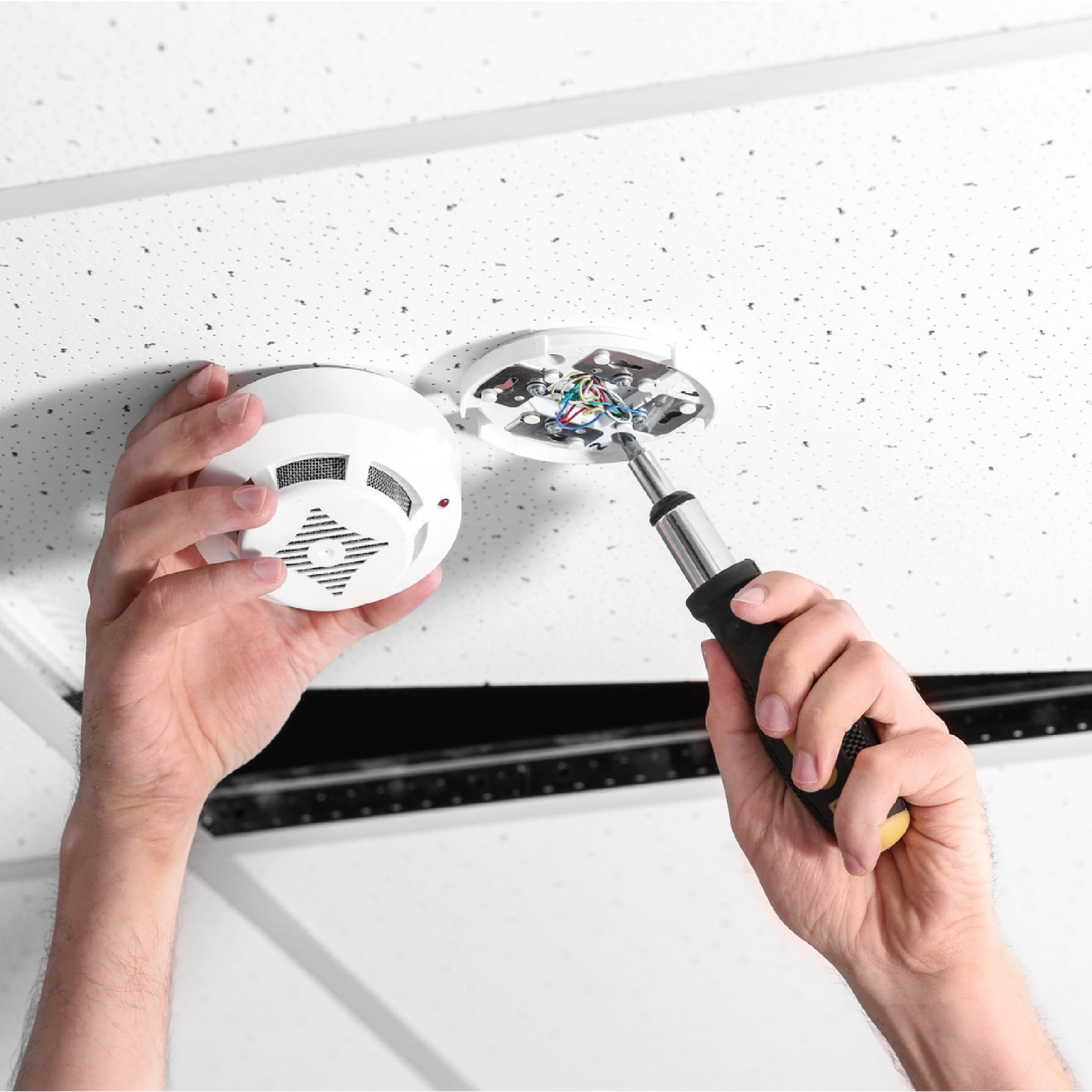 WhatsApp Image 2025-12-12 at 10.34.50 PM