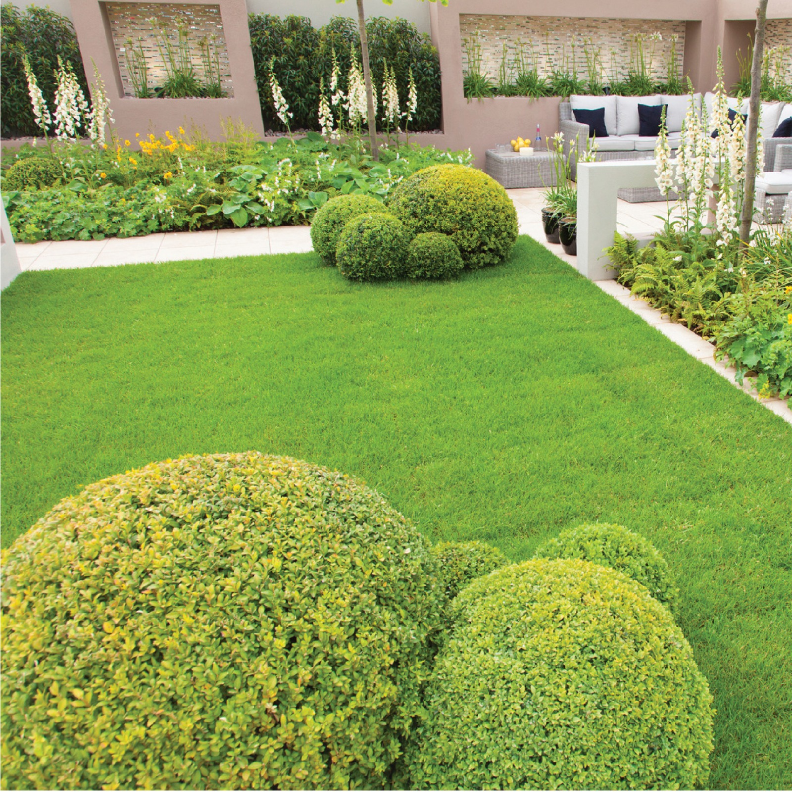 WhatsApp Image 2025-12-12 at 10.41.48 PM (1)